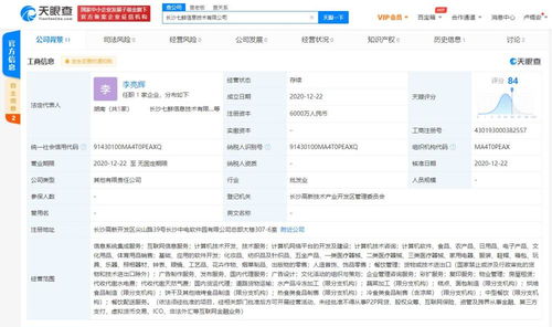 信息系統集成服務 企業數字化轉型的核心引擎